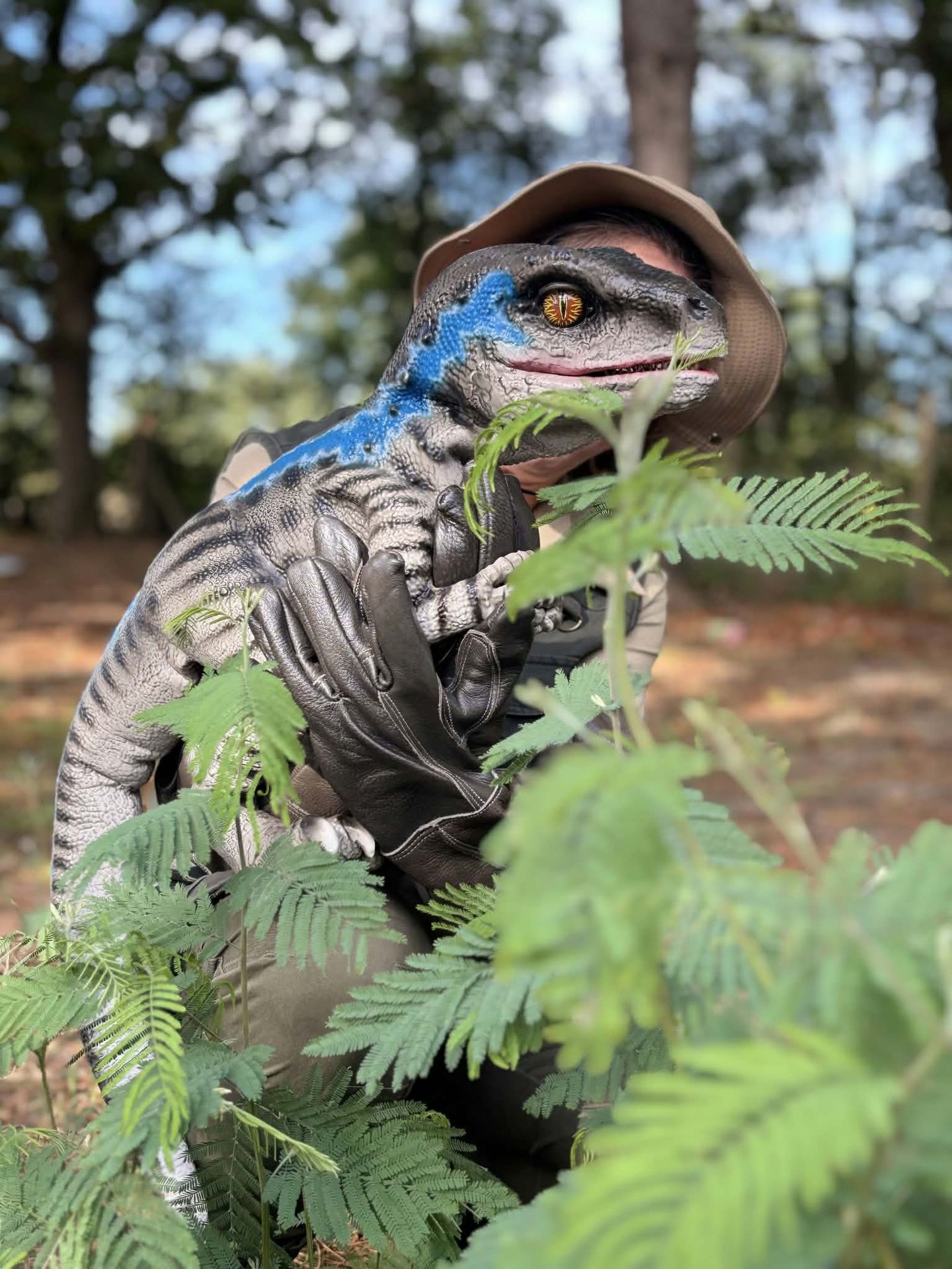 Velociraptor gros plan