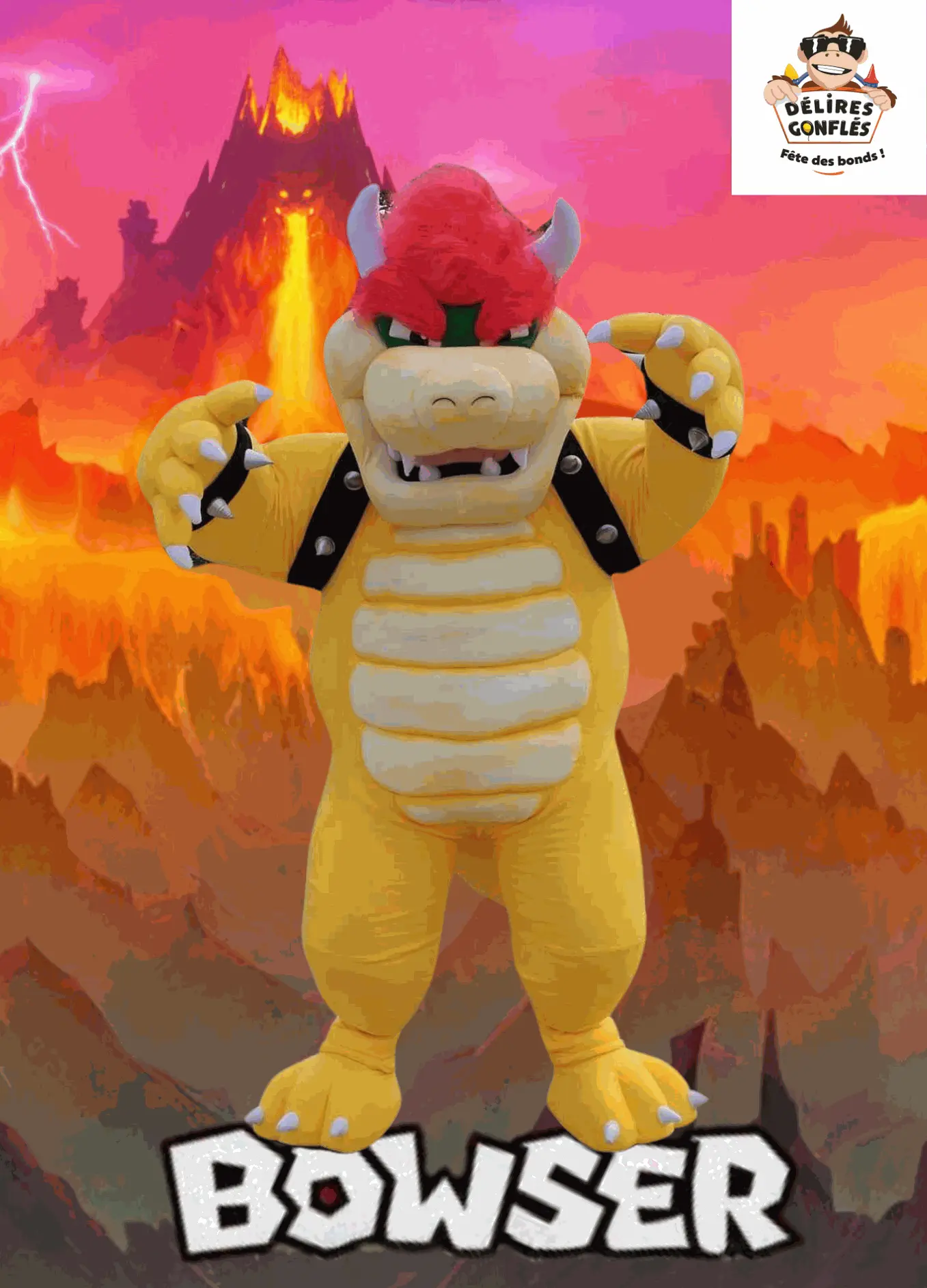 mascotte bowser sainte reine de bretagne 44160
